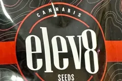 weed seeds