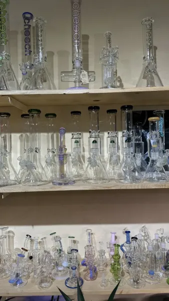 smoke shop bongs