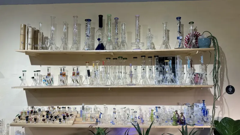 full shelf of bongs