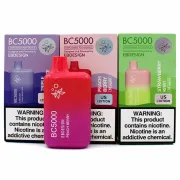 EBDesign-elf-bar-bc5000-disposable-vapes