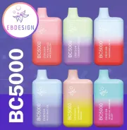 ebdesign-bc5000-4percent-nic-rechargeable-disposable-5000-puffs-9.5ml-10ct-display__42082